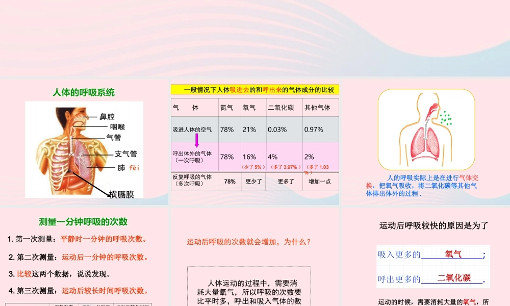 四年级科学上册 第19课《运动与呼吸》课件（3） 鄂教版-鄂教版小学四年级上册自然科学课件