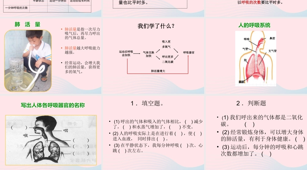 四年级科学上册 第19课《运动与呼吸》课件（3） 鄂教版-鄂教版小学四年级上册自然科学课件