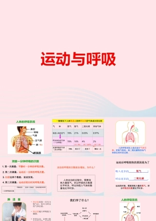 四年级科学上册 第19课《运动与呼吸》课件（3） 鄂教版-鄂教版小学四年级上册自然科学课件