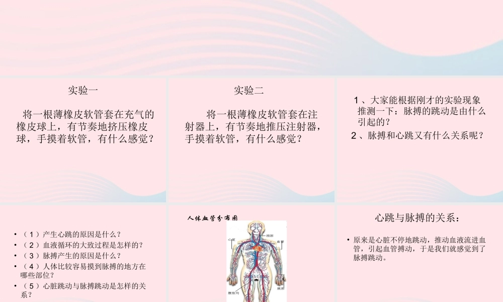 四年级科学上册 第20课《运动与心跳》课件（1） 鄂教版-鄂教版小学四年级上册自然科学课件