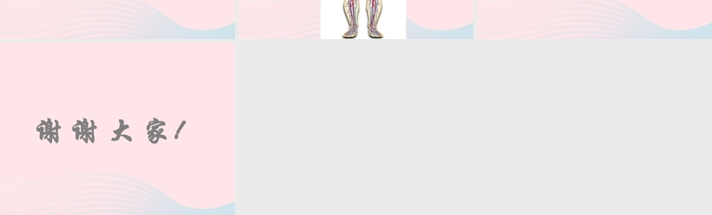 四年级科学上册 第20课《运动与心跳》课件（1） 鄂教版-鄂教版小学四年级上册自然科学课件