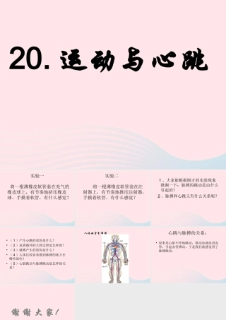 四年级科学上册 第20课《运动与心跳》课件（1） 鄂教版-鄂教版小学四年级上册自然科学课件