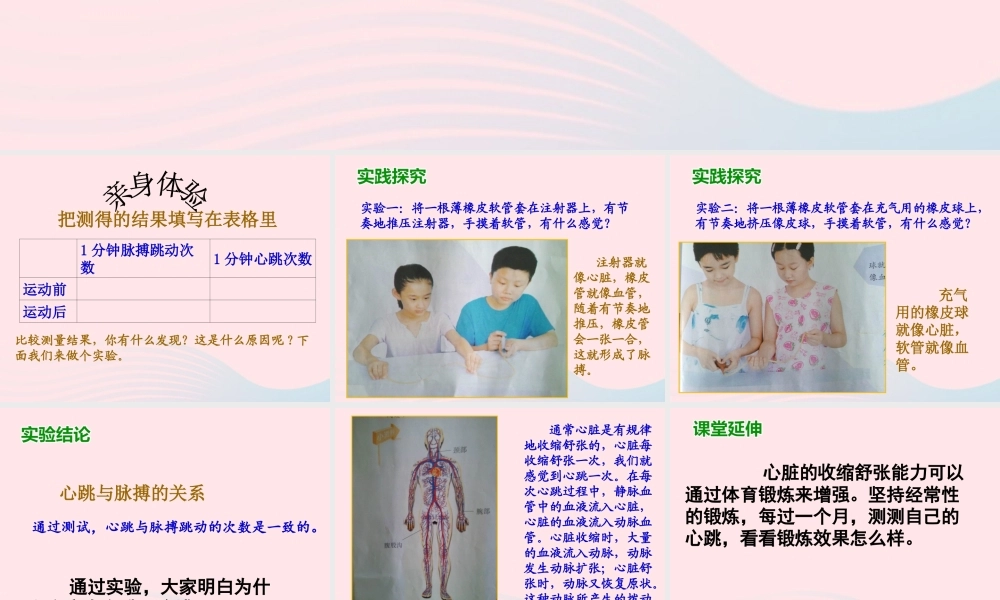 四年级科学上册 第20课《运动与心跳》课件（2） 鄂教版-鄂教版小学四年级上册自然科学课件