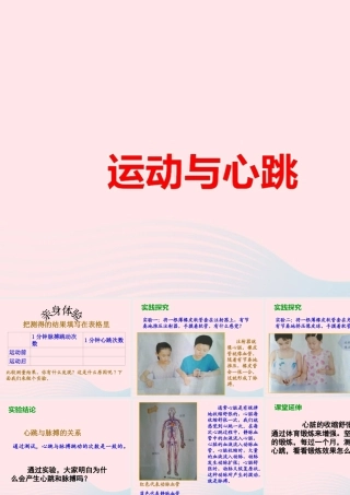 四年级科学上册 第20课《运动与心跳》课件（2） 鄂教版-鄂教版小学四年级上册自然科学课件