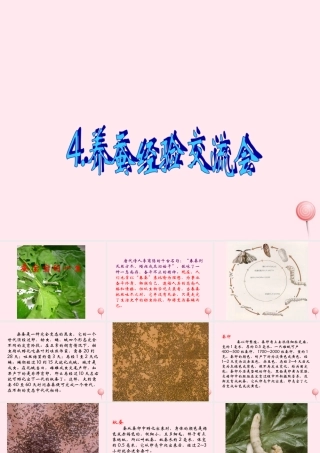 四年级科学下册 2.4养蚕经验交流会课件2 苏教版-苏教版小学四年级下册自然科学课件