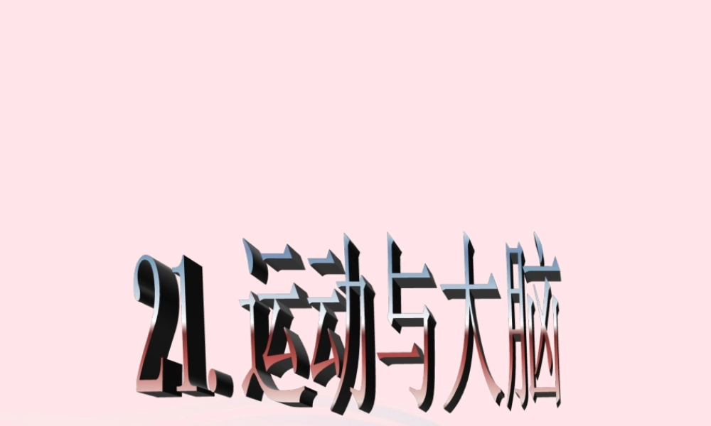 四年级科学上册 第21课《运动与大脑》课件 鄂教版-鄂教版小学四年级上册自然科学课件