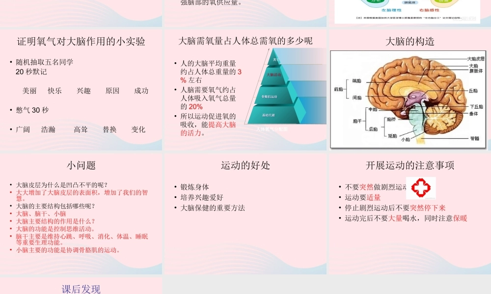 四年级科学上册 第21课《运动与大脑》课件 鄂教版-鄂教版小学四年级上册自然科学课件