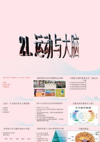 四年级科学上册 第21课《运动与大脑》课件 鄂教版-鄂教版小学四年级上册自然科学课件
