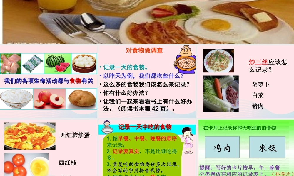 四年级科学下册 3 食物 1 一天的食物课件3 教科版-教科版小学四年级下册自然科学课件