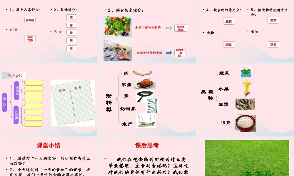 四年级科学下册 3 食物 1 一天的食物课件3 教科版-教科版小学四年级下册自然科学课件