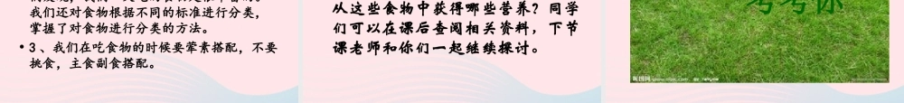 四年级科学下册 3 食物 1 一天的食物课件3 教科版-教科版小学四年级下册自然科学课件