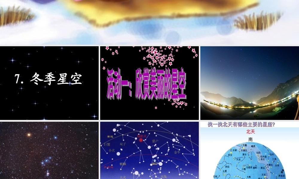 四年级科学上册 第二单元 秋冬星空 第7课《冬季星空》课件（2） 青岛版五四制-青岛版小学四年级上册自然科学课件