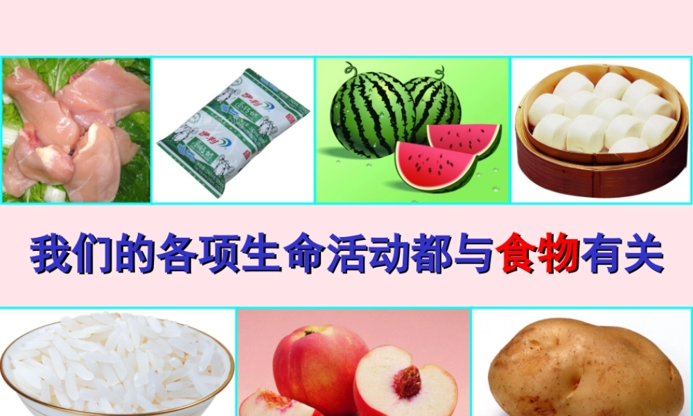 四年级科学下册 3 食物 1 一天的食物课件6 教科版-教科版小学四年级下册自然科学课件