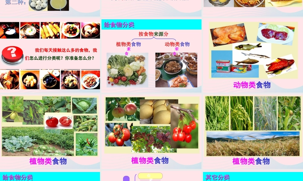 四年级科学下册 3 食物 1 一天的食物课件6 教科版-教科版小学四年级下册自然科学课件