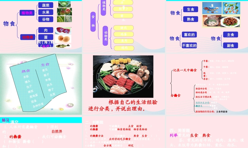 四年级科学下册 3 食物 1 一天的食物课件6 教科版-教科版小学四年级下册自然科学课件