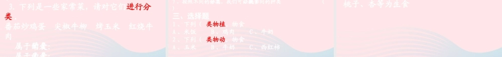 四年级科学下册 3 食物 1 一天的食物课件6 教科版-教科版小学四年级下册自然科学课件