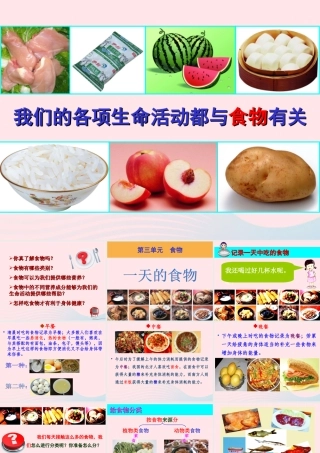 四年级科学下册 3 食物 1 一天的食物课件6 教科版-教科版小学四年级下册自然科学课件