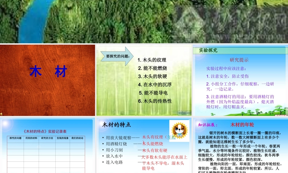 四年级科学上册 第三单元 生活中的材料 第8课《木材》课件（1） 青岛版五四制-青岛版小学四年级上册自然科学课件