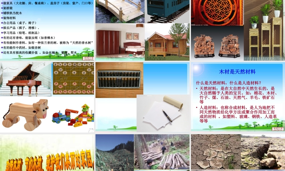 四年级科学上册 第三单元 生活中的材料 第8课《木材》课件（1） 青岛版五四制-青岛版小学四年级上册自然科学课件