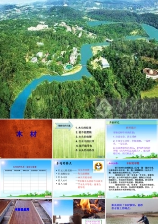 四年级科学上册 第三单元 生活中的材料 第8课《木材》课件（1） 青岛版五四制-青岛版小学四年级上册自然科学课件