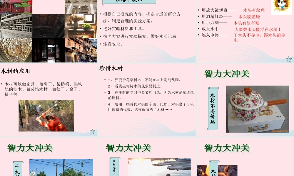 四年级科学上册 第三单元 生活中的材料 第8课《木材》课件（3） 青岛版五四制-青岛版小学四年级上册自然科学课件