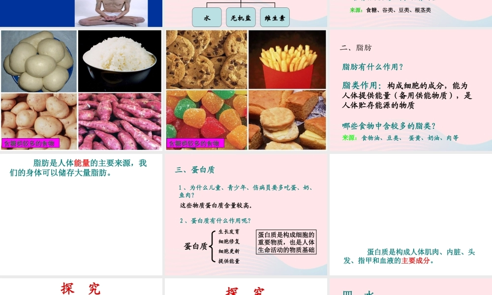 四年级科学下册 3 食物 2 食物中的营养课件1 教科版-教科版小学四年级下册自然科学课件