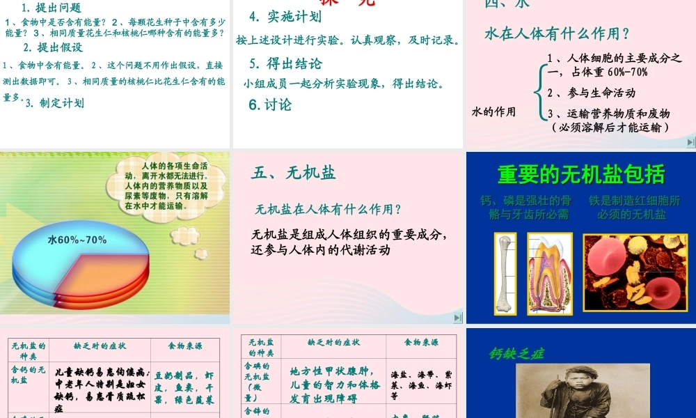 四年级科学下册 3 食物 2 食物中的营养课件1 教科版-教科版小学四年级下册自然科学课件