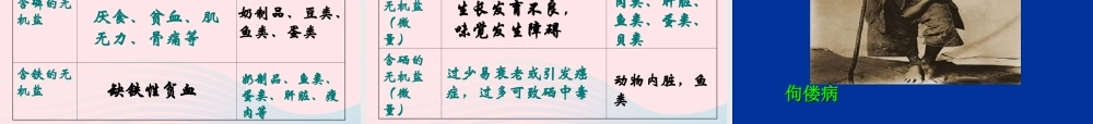 四年级科学下册 3 食物 2 食物中的营养课件1 教科版-教科版小学四年级下册自然科学课件