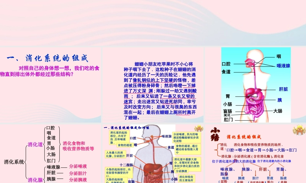四年级科学下册 3 食物 2 食物中的营养课件2 教科版-教科版小学四年级下册自然科学课件