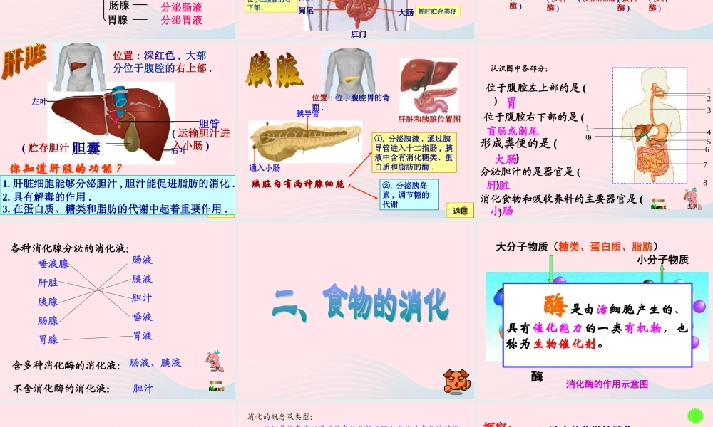 四年级科学下册 3 食物 2 食物中的营养课件2 教科版-教科版小学四年级下册自然科学课件