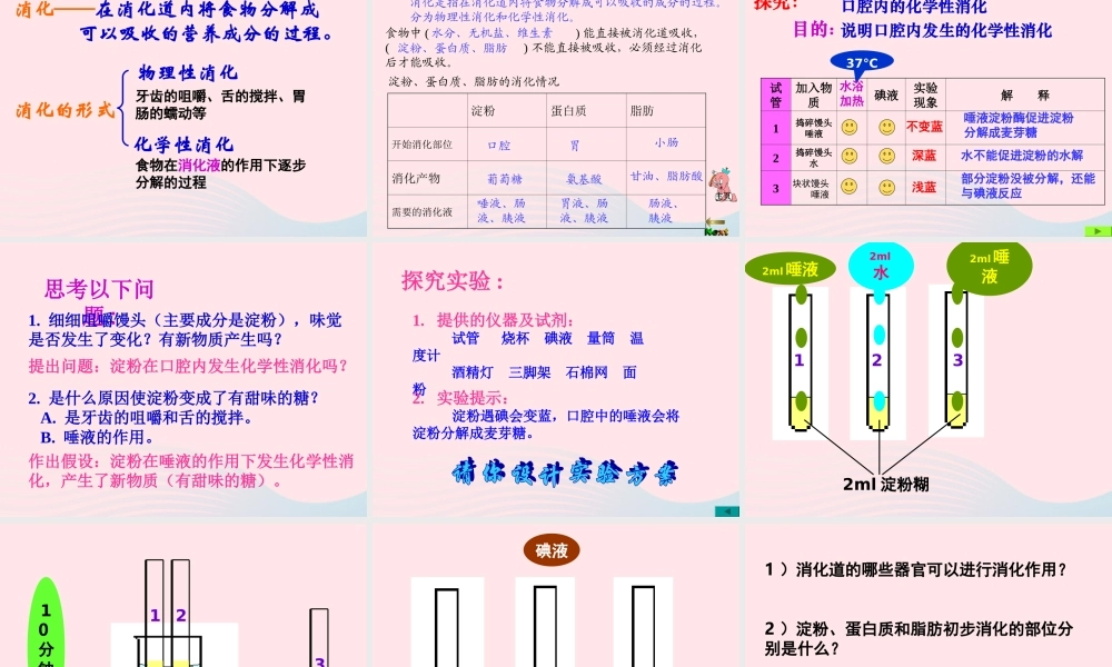 四年级科学下册 3 食物 2 食物中的营养课件2 教科版-教科版小学四年级下册自然科学课件