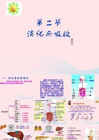 四年级科学下册 3 食物 2 食物中的营养课件2 教科版-教科版小学四年级下册自然科学课件