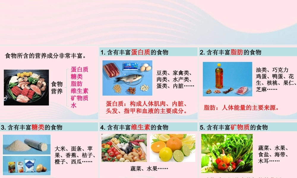四年级科学下册 3 食物 2 食物中的营养课件3 教科版-教科版小学四年级下册自然科学课件