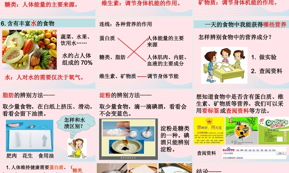 四年级科学下册 3 食物 2 食物中的营养课件3 教科版-教科版小学四年级下册自然科学课件