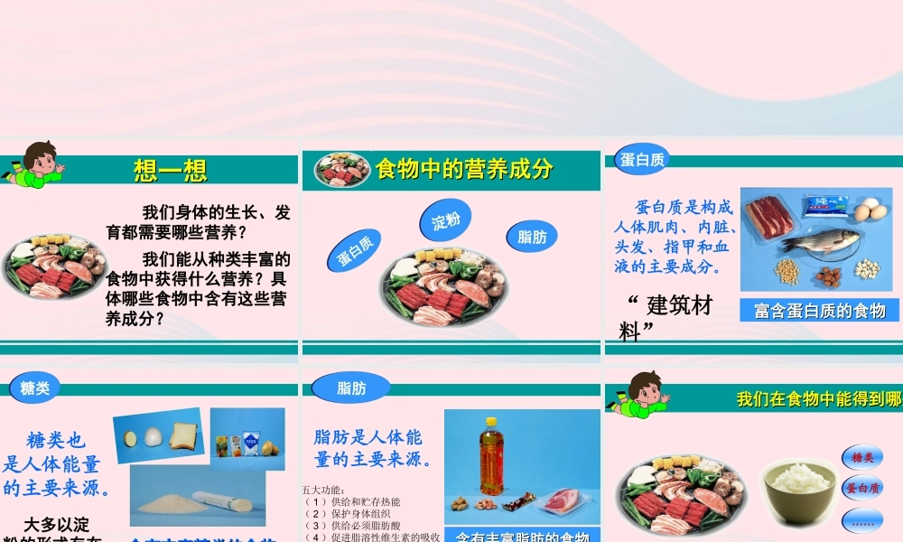 四年级科学下册 3 食物 2 食物中的营养课件5 教科版-教科版小学四年级下册自然科学课件