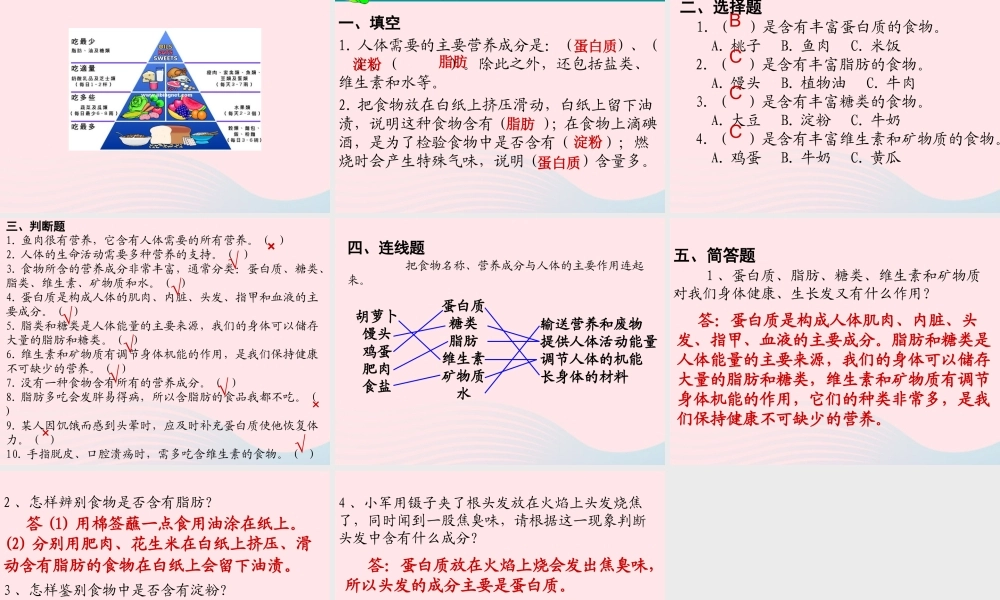 四年级科学下册 3 食物 2 食物中的营养课件5 教科版-教科版小学四年级下册自然科学课件