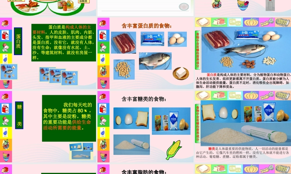 四年级科学下册 3 食物 2 食物中的营养课件6 教科版-教科版小学四年级下册自然科学课件