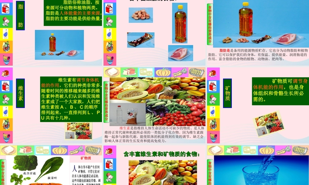 四年级科学下册 3 食物 2 食物中的营养课件6 教科版-教科版小学四年级下册自然科学课件