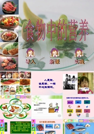 四年级科学下册 3 食物 2 食物中的营养课件6 教科版-教科版小学四年级下册自然科学课件
