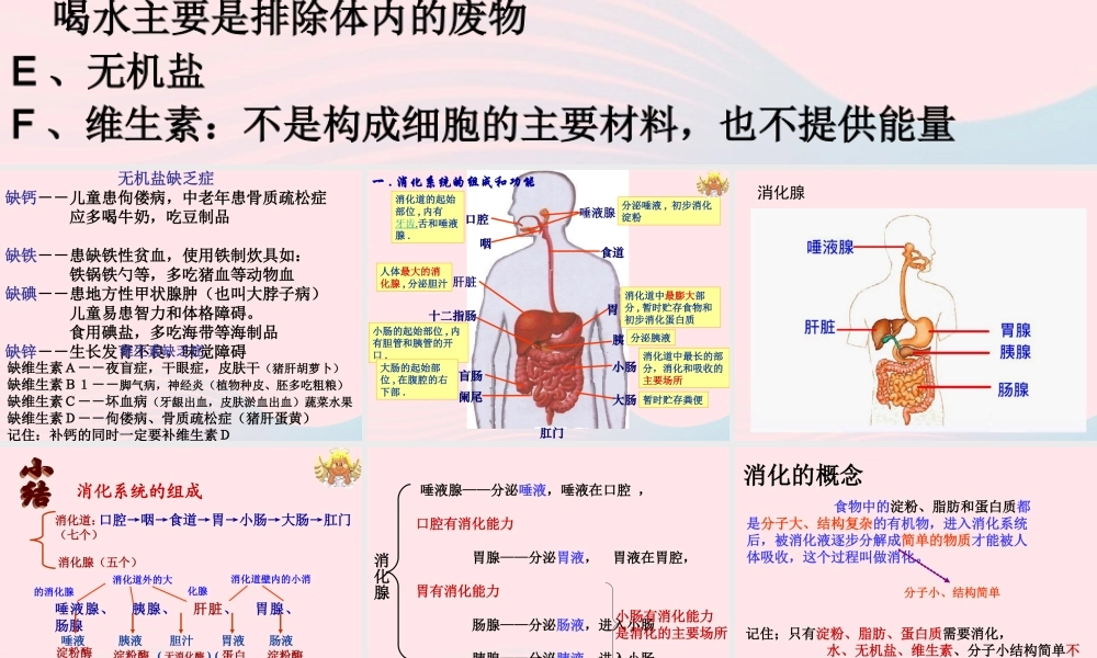四年级科学下册 3 食物 2 食物中的营养课件7 教科版-教科版小学四年级下册自然科学课件