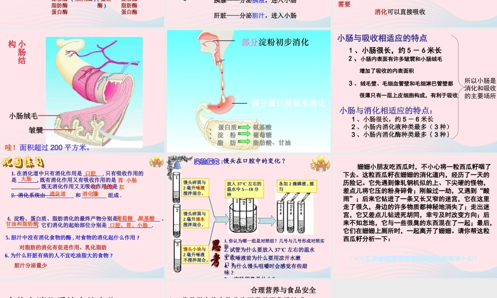 四年级科学下册 3 食物 2 食物中的营养课件7 教科版-教科版小学四年级下册自然科学课件