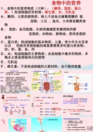 四年级科学下册 3 食物 2 食物中的营养课件7 教科版-教科版小学四年级下册自然科学课件