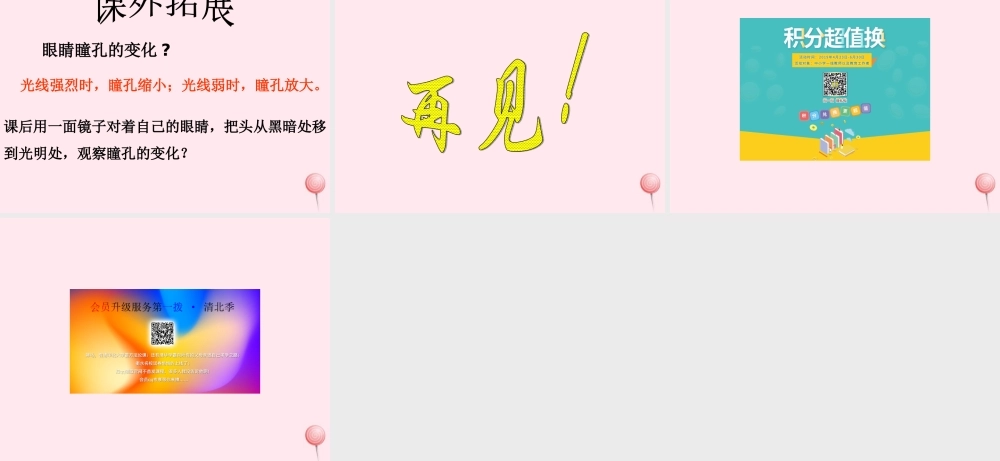 四年级科学下册 第四单元 第22课《反射光》课件 鄂教版-鄂教版小学四年级下册自然科学课件