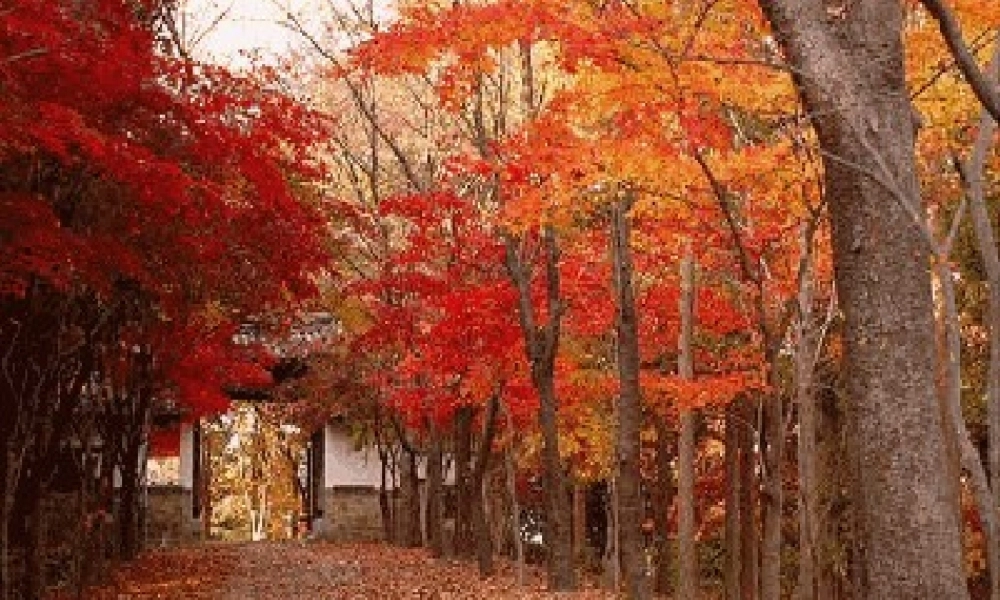 四年级科学上册 第四单元 水循环 第13课《蒸发》课件（1） 青岛版五四制-青岛版小学四年级上册自然科学课件