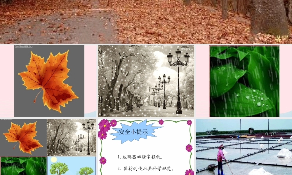 四年级科学上册 第四单元 水循环 第13课《蒸发》课件（1） 青岛版五四制-青岛版小学四年级上册自然科学课件