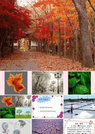 四年级科学上册 第四单元 水循环 第13课《蒸发》课件（1） 青岛版五四制-青岛版小学四年级上册自然科学课件