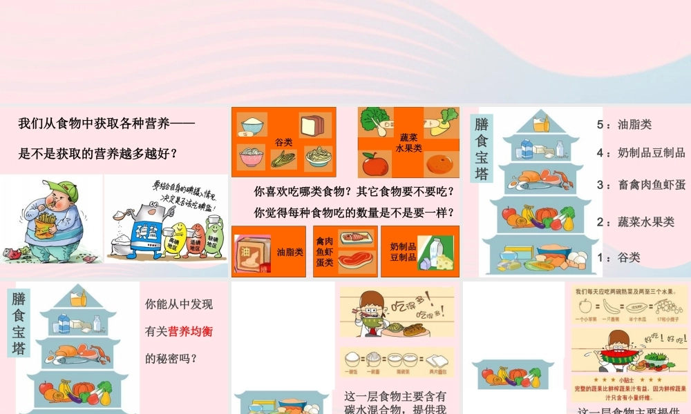 四年级科学下册 3 食物 3 营养要均衡课件1 教科版-教科版小学四年级下册自然科学课件