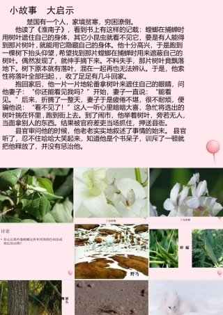 四年级科学下册 第四单元 生物与环境 第15课《变色龙》课件1 青岛版五四制-青岛版小学四年级下册自然科学课件