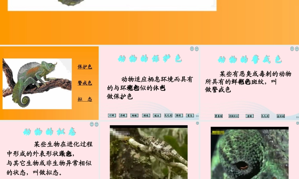 四年级科学下册 第四单元 生物与环境 第15课《变色龙》课件2 青岛版五四制-青岛版小学四年级下册自然科学课件