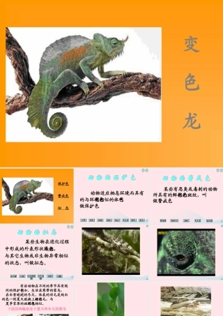 四年级科学下册 第四单元 生物与环境 第15课《变色龙》课件2 青岛版五四制-青岛版小学四年级下册自然科学课件